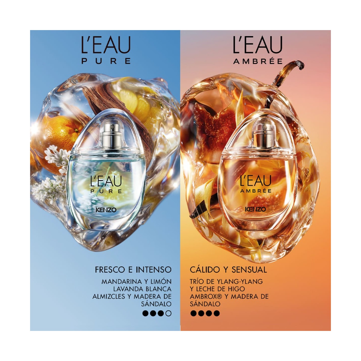 L'Eau Ambr&eacute;e Eau de Parfum By Kenzo 30ML image number null