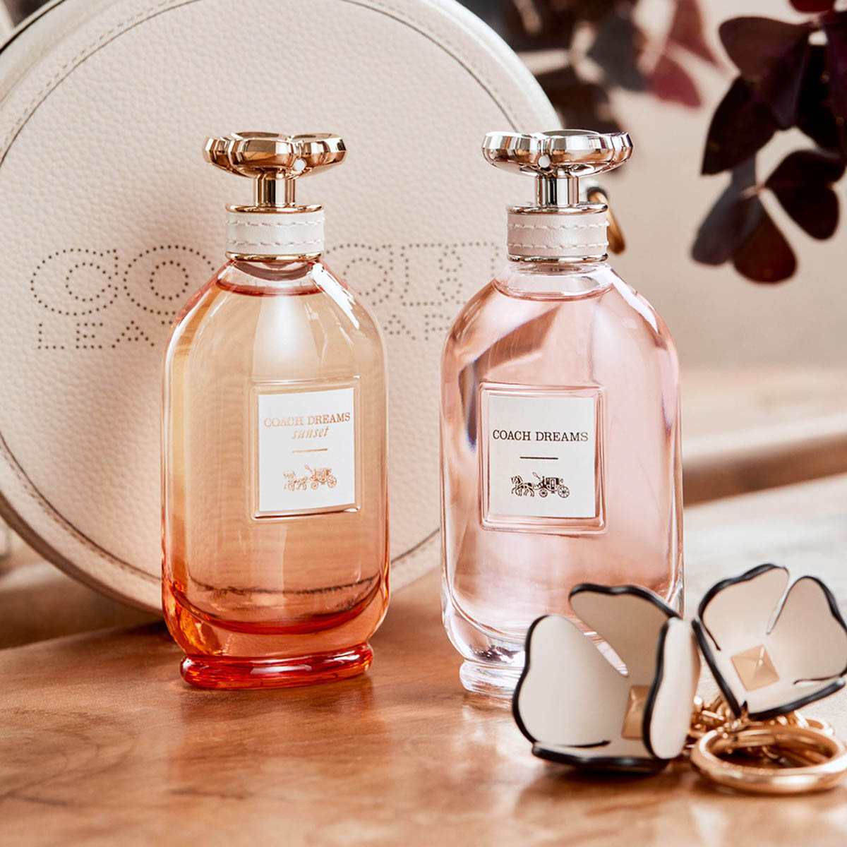 Coach Dreams Sunset Edp 90 Ml image number null