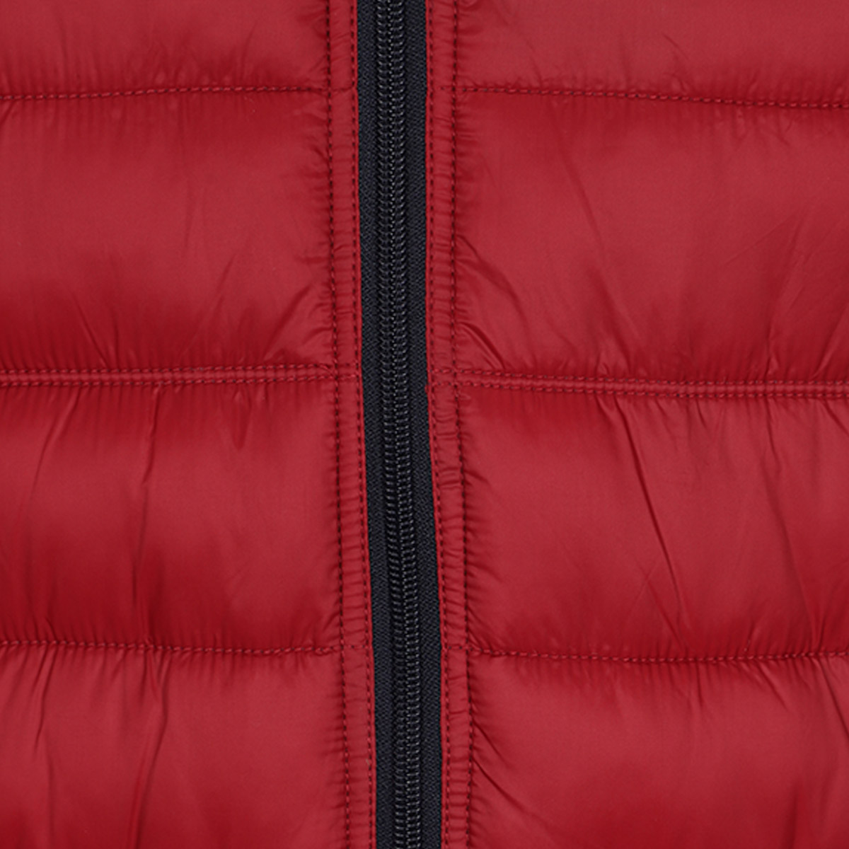 Chaleco Capitonado Jeanious para Hombre Plus image number null