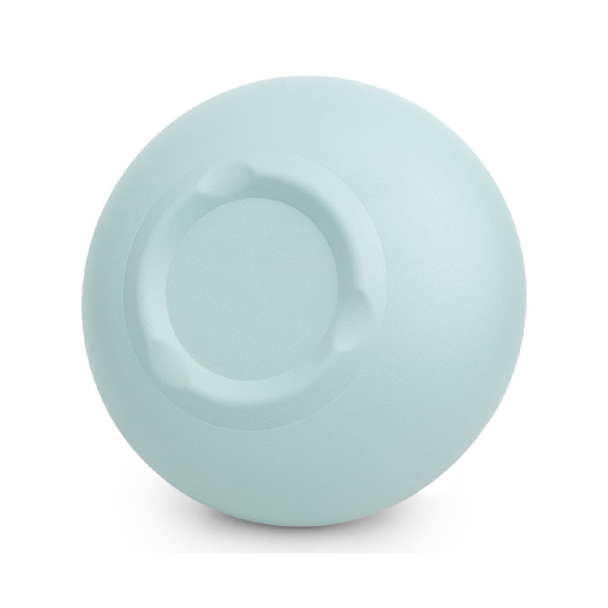 Bowl Para Gato Azul Silver Paw image number null